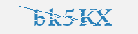 보안문자